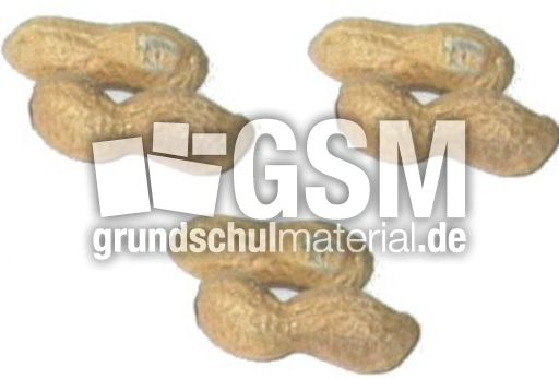 Erdnüsse-3x2.jpg